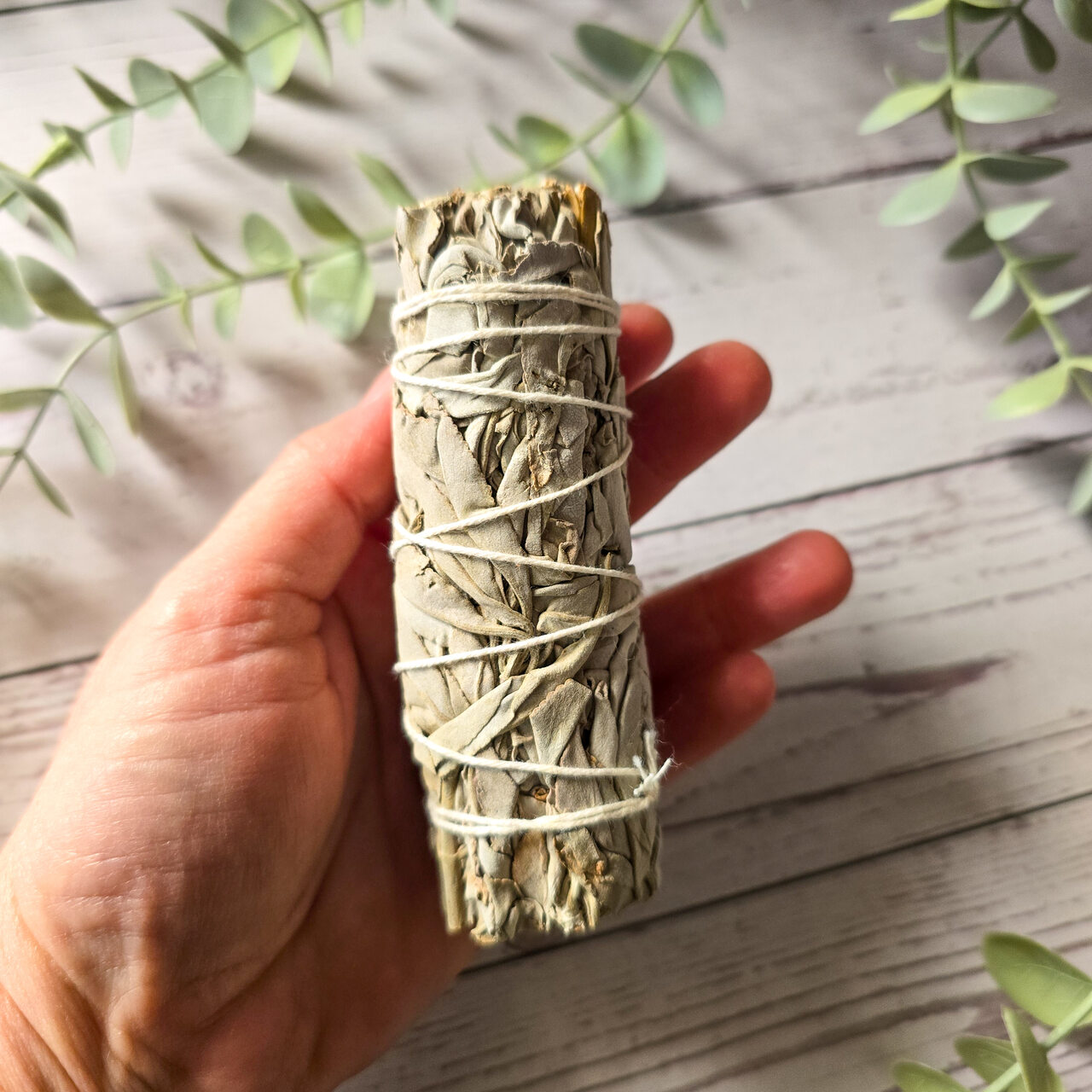 Szałwia Biała 26g - 30g - obrazek 5