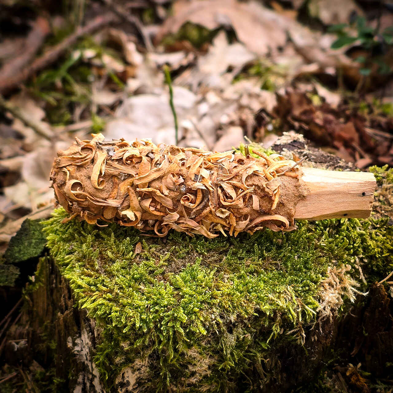 Palo Santo z kwiatami pomarańczy - obrazek 2