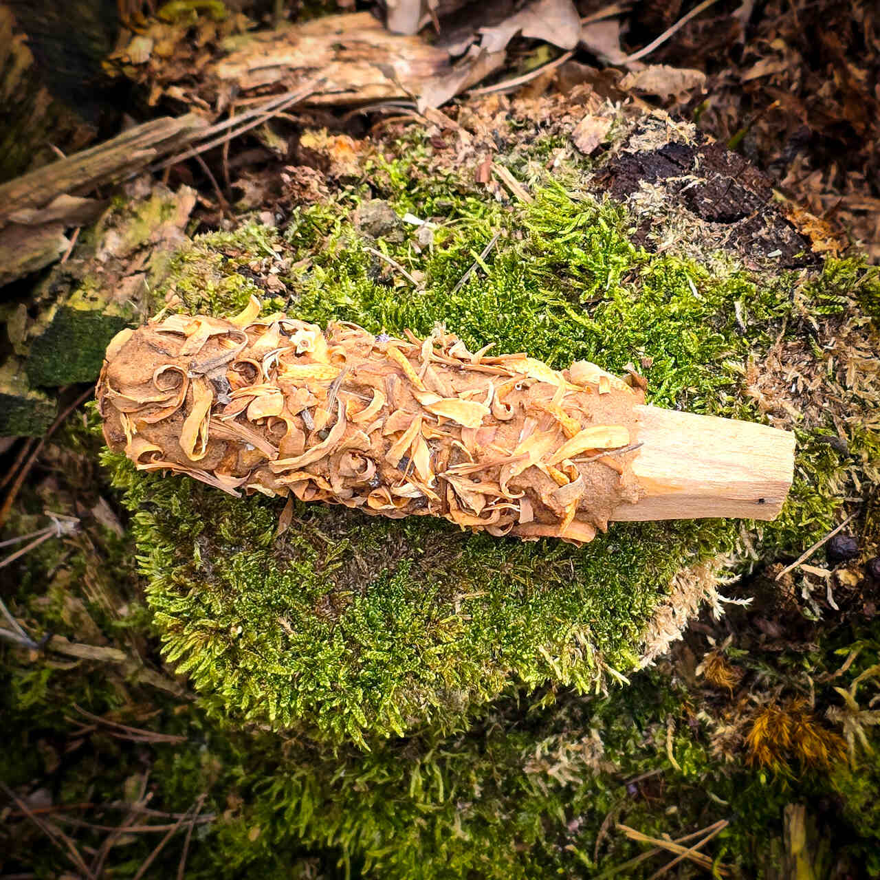 Palo Santo z kwiatami pomarańczy